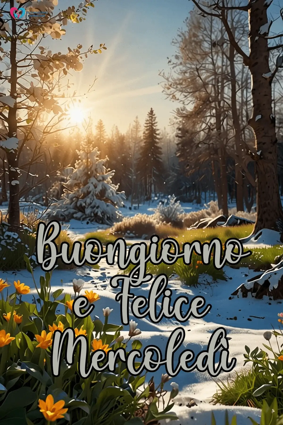 immagini buon mercoledì con elementi naturali e messaggi positivi