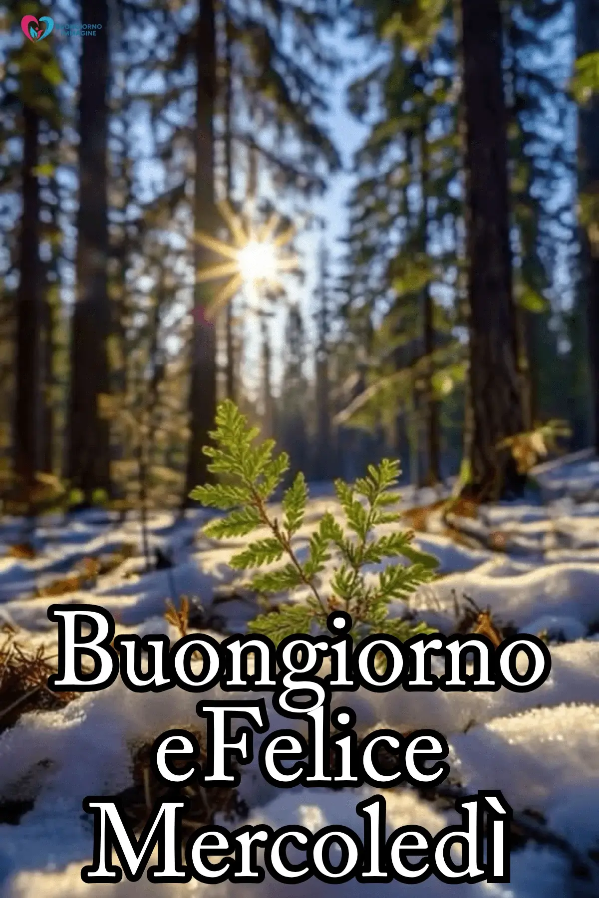 immagini buon mercoledì con messaggi di amicizia e serenità