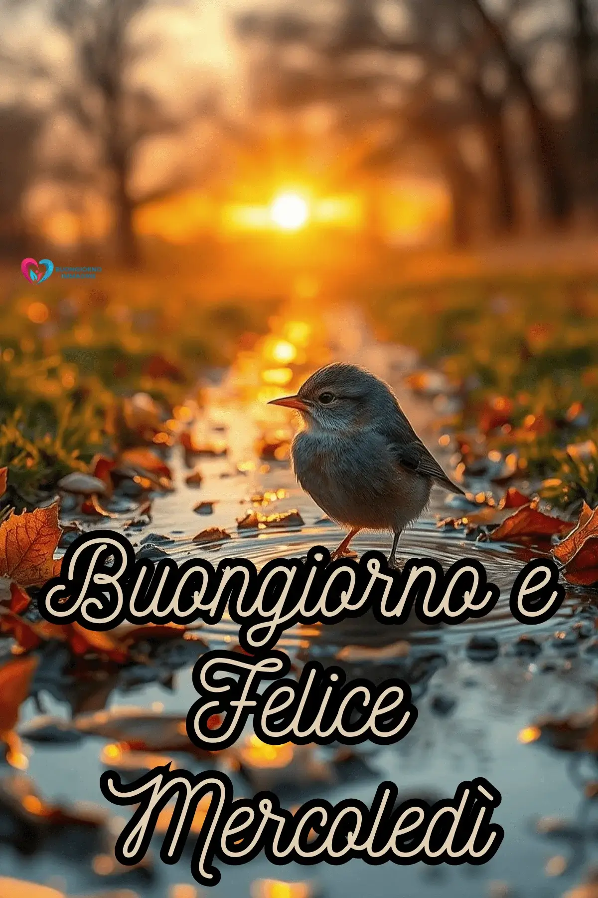 immagini buon mercoledì con sorrisi e citazioni motivazionali