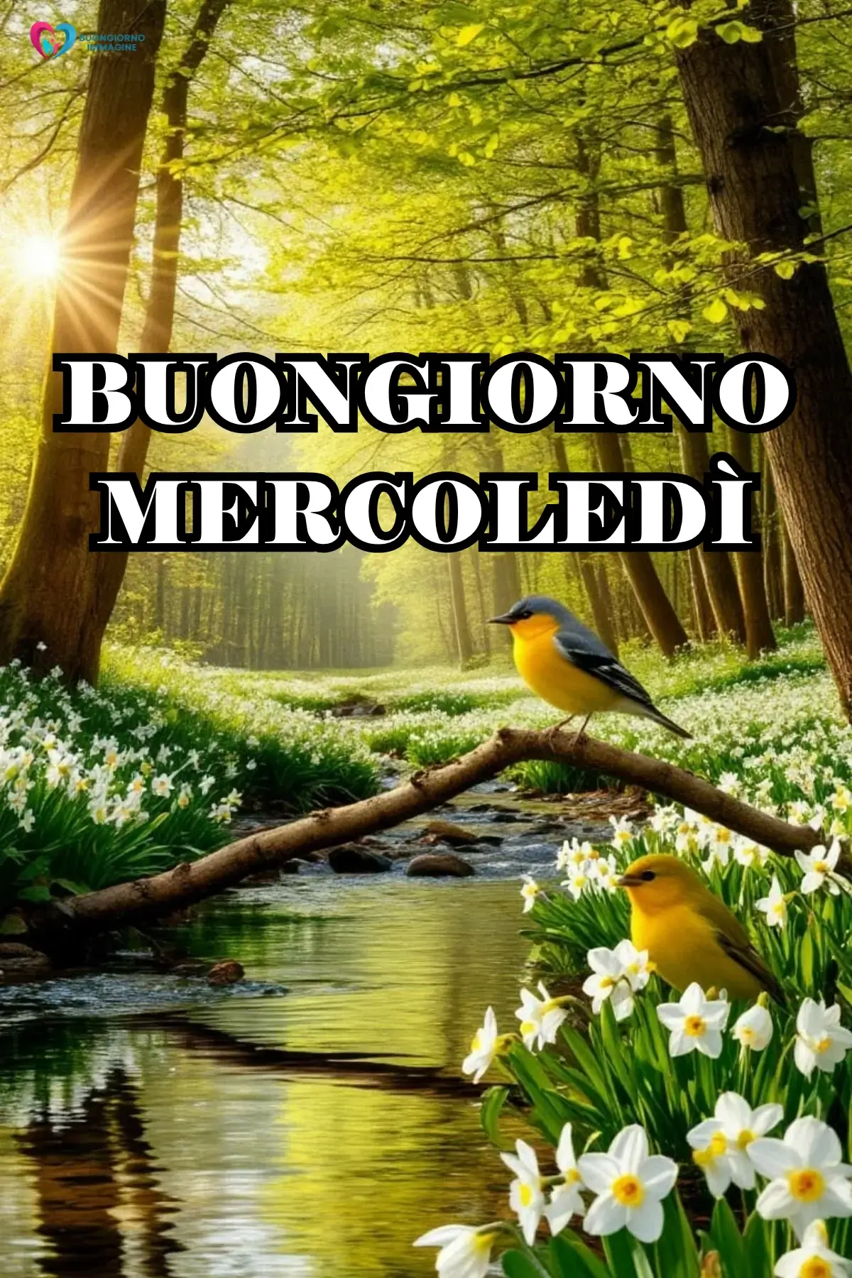 immagini buon mercoledì con tema mattina e citazioni positive