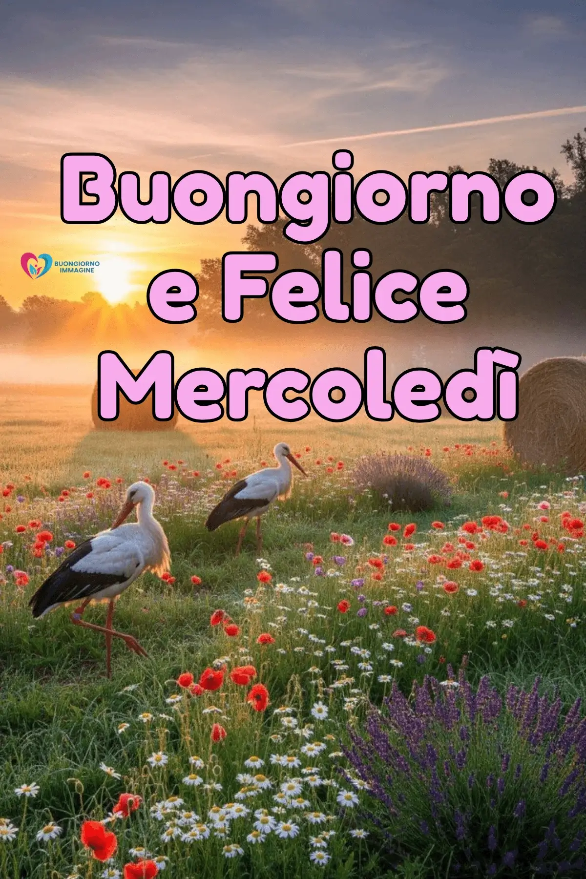 immagini buon mercoledì eleganti con parole positive e serenità