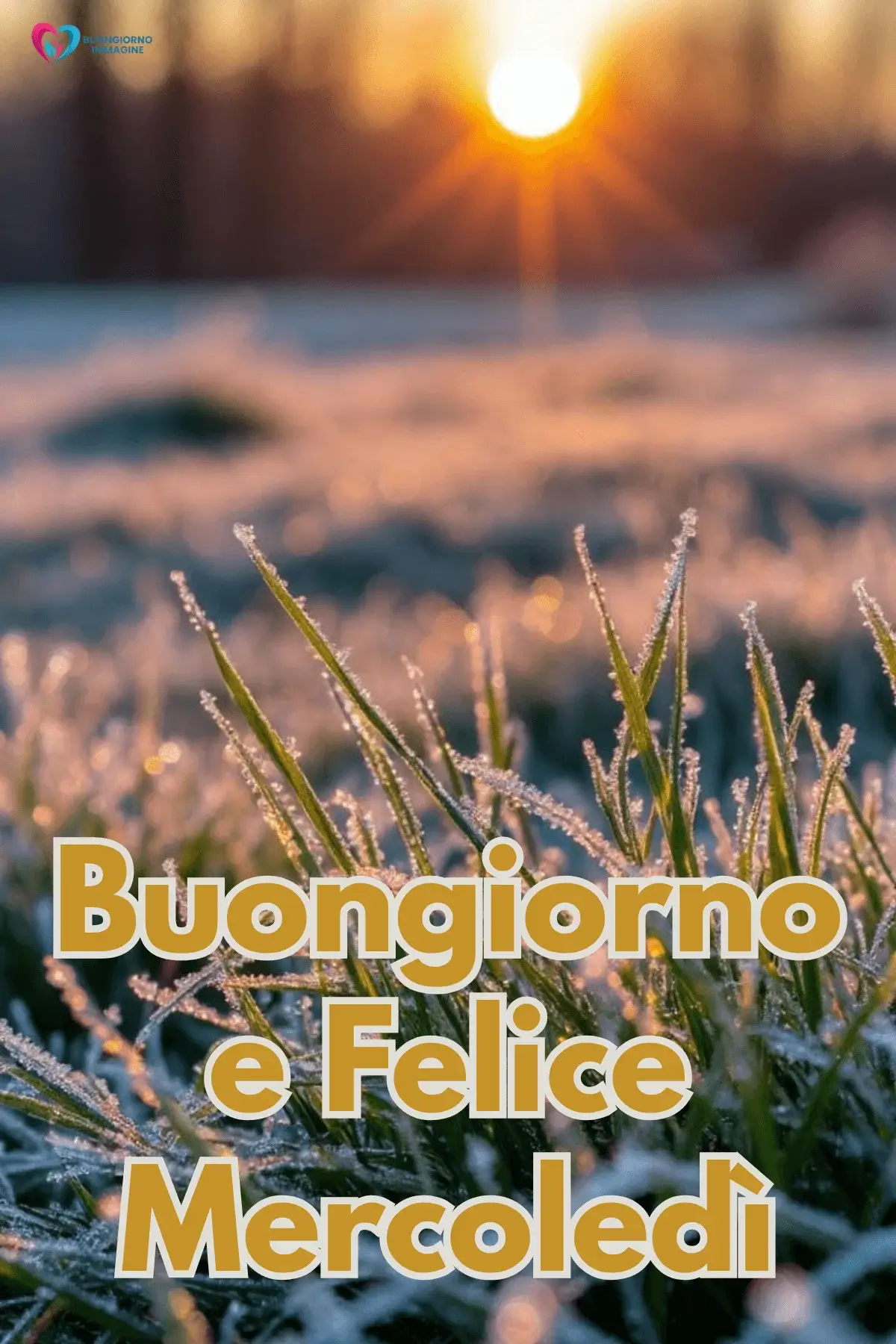 immagini buon mercoledì nuove per social con frasi coinvolgenti