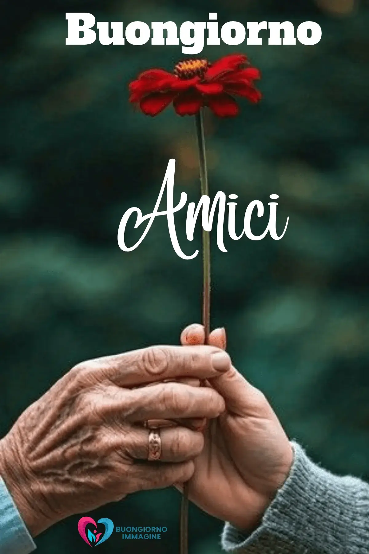 immagini buongiorno amici per famiglia e amici