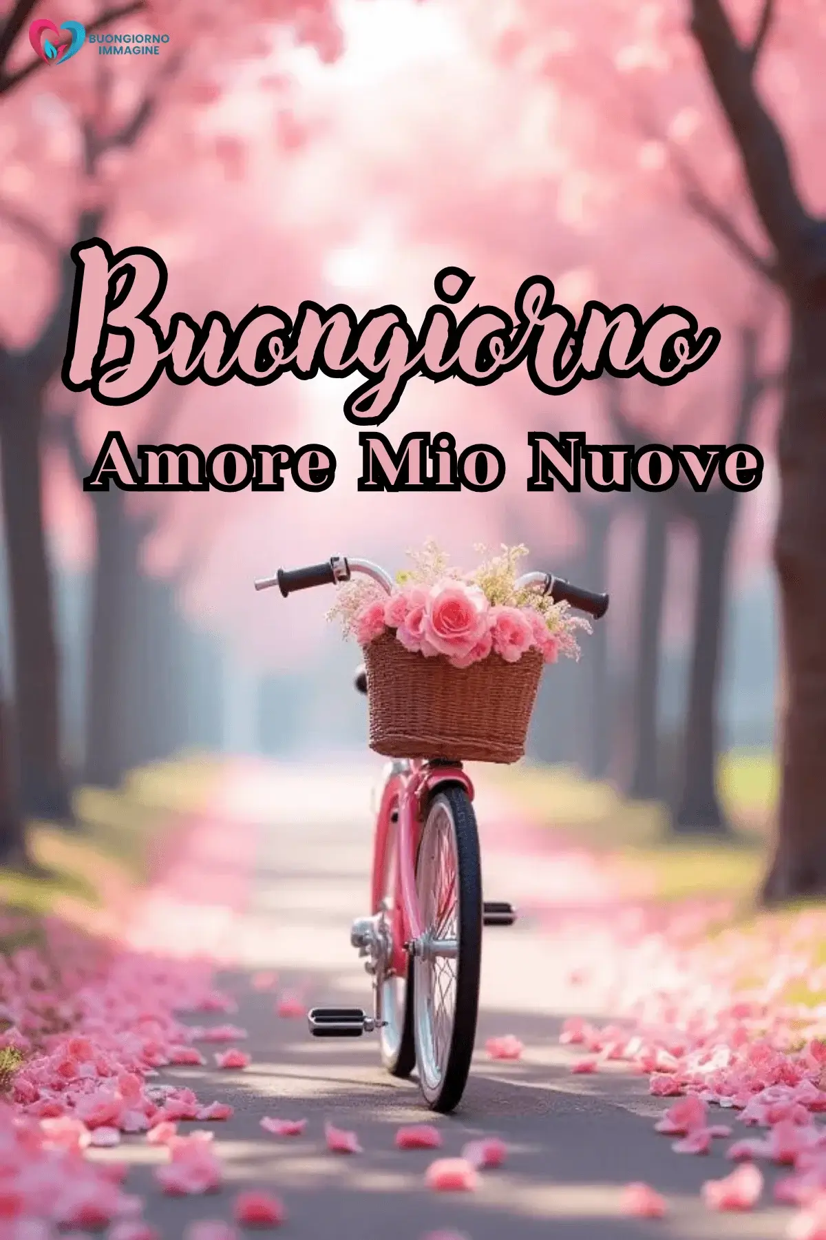 immagini buongiorno amore per social media