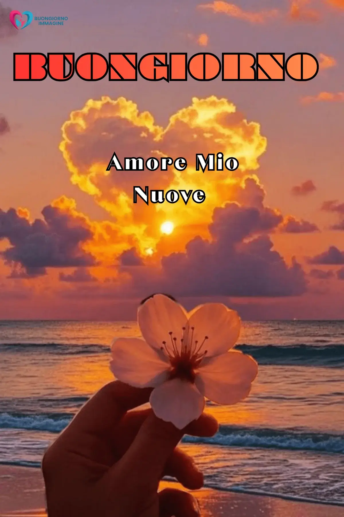 immagini buongiorno amore pronte da inviare