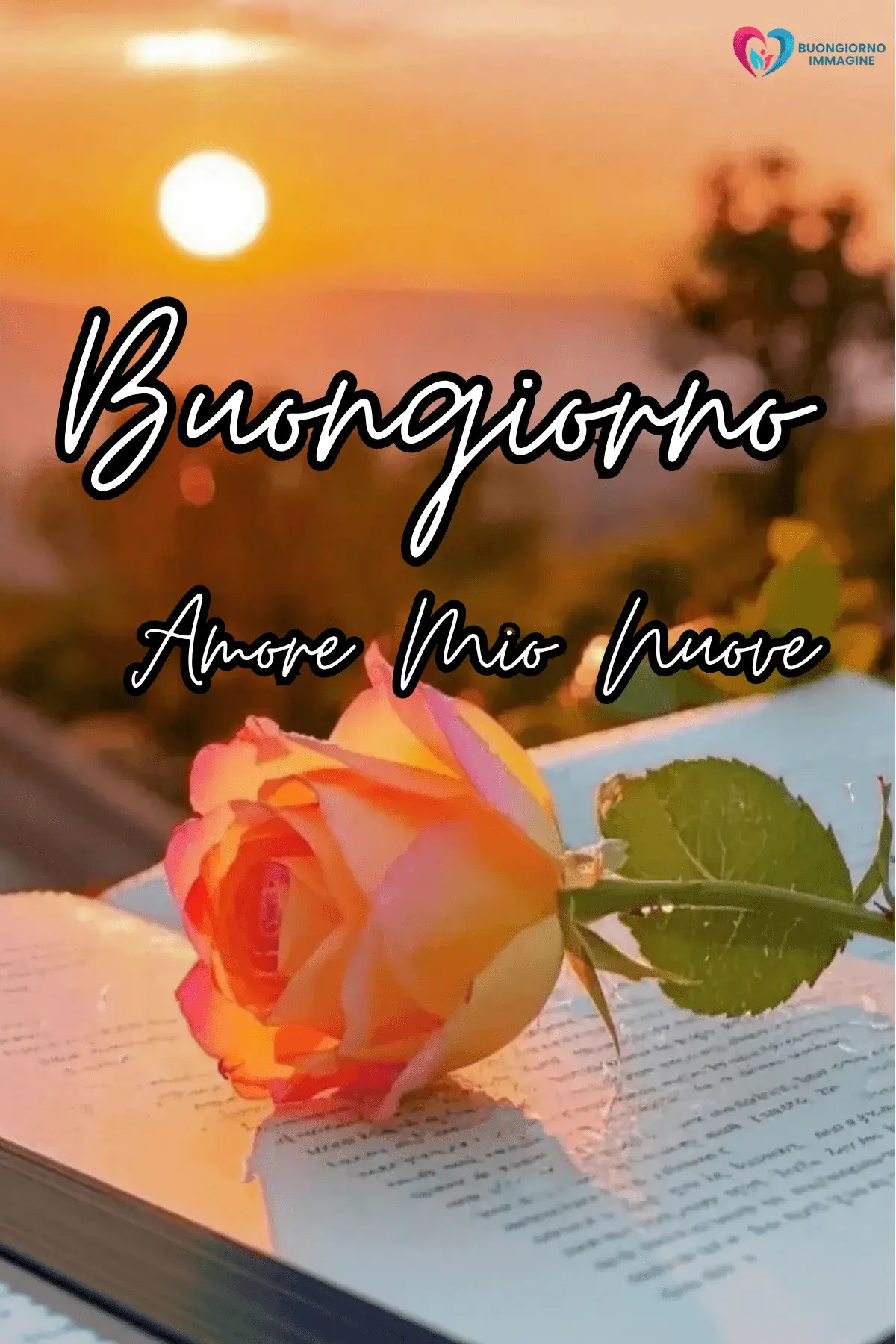 immagini buongiorno amore speciale