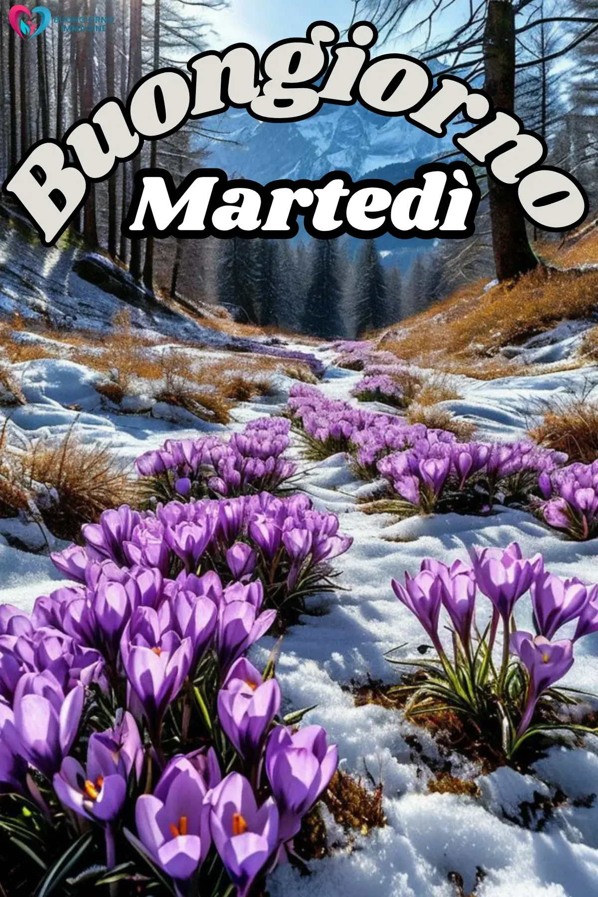 immagini buongiorno buon martedì aggiornate