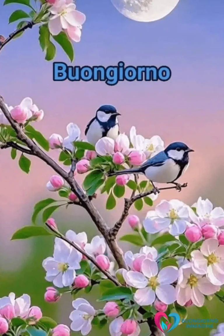 immagini buongiorno colorate e allegre