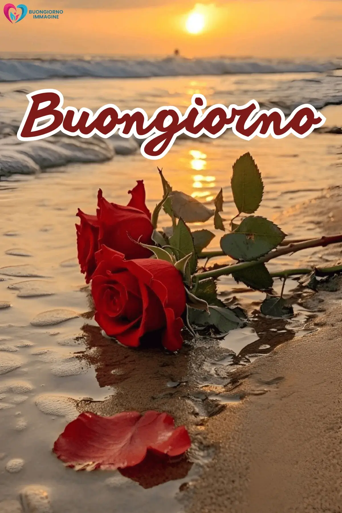 immagini buongiorno con fiori e atmosfera serena e positiva