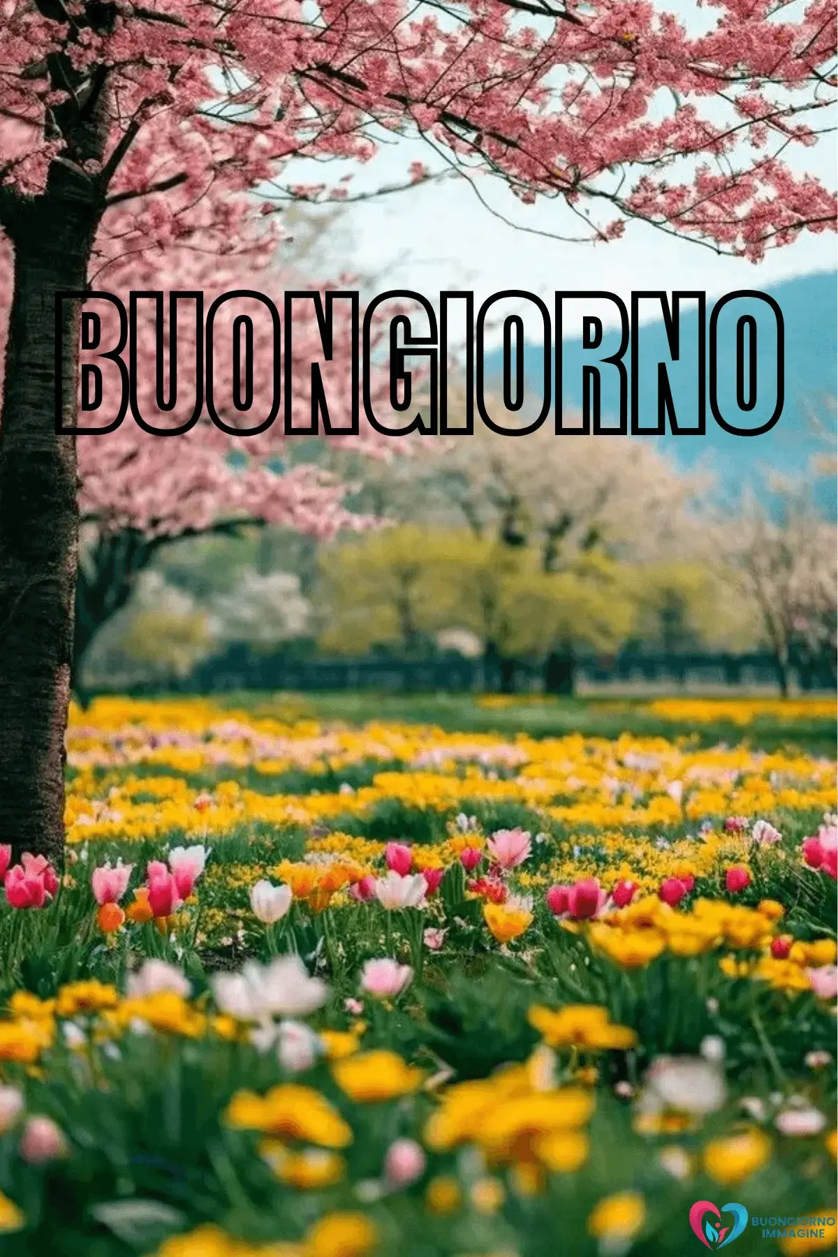immagini buongiorno con fiori e colori soft e atmosfera relax