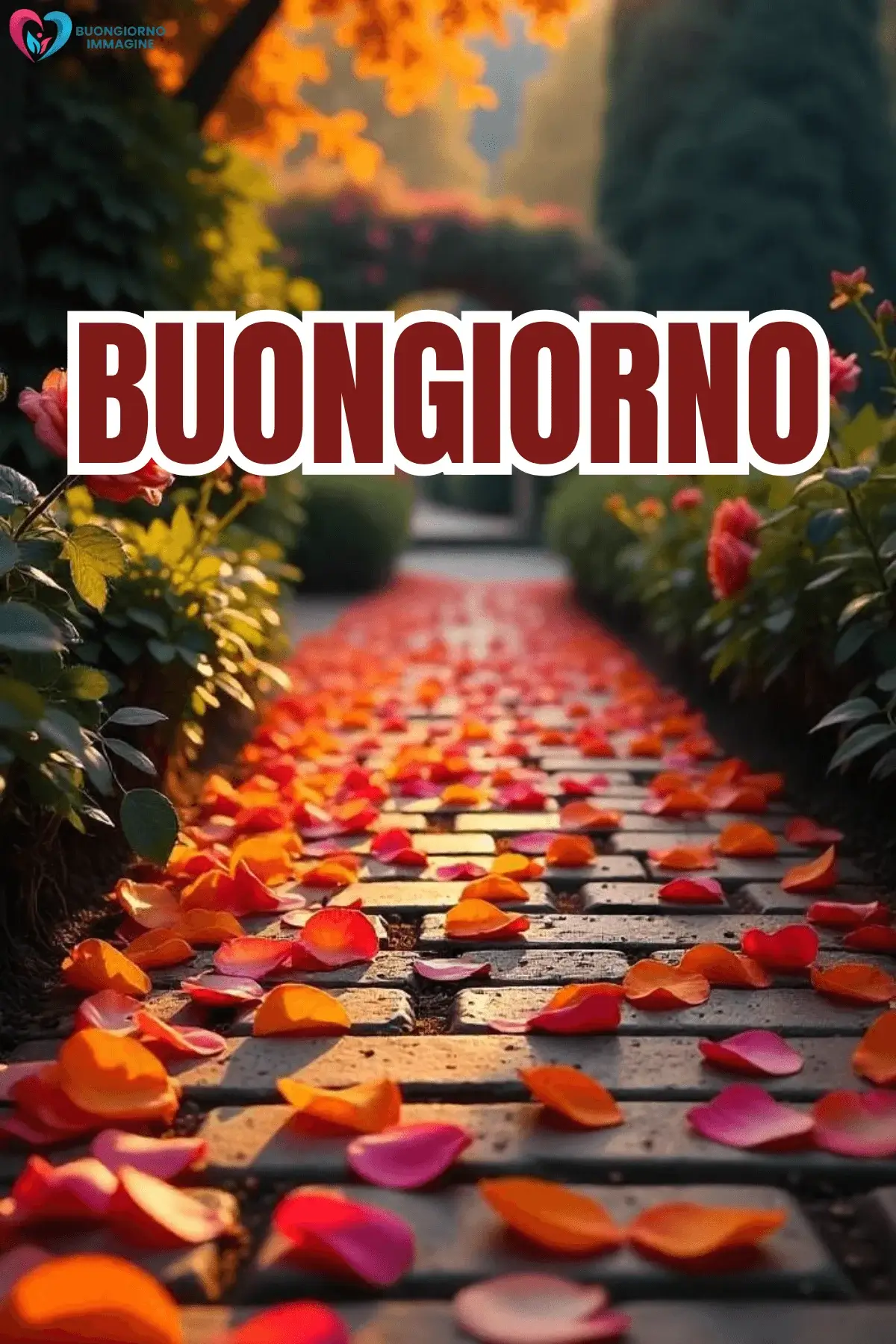 immagini buongiorno con fiori e design elegante e moderno