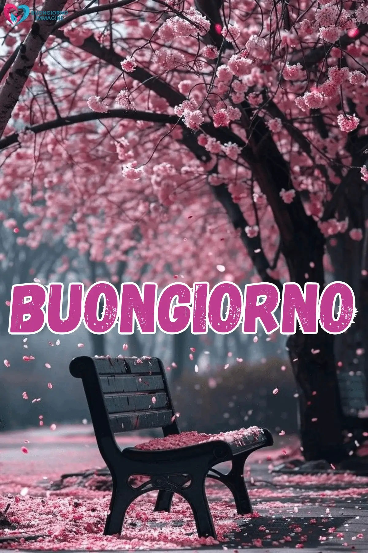 immagini buongiorno con fiori e farfalle e atmosfera rilassante