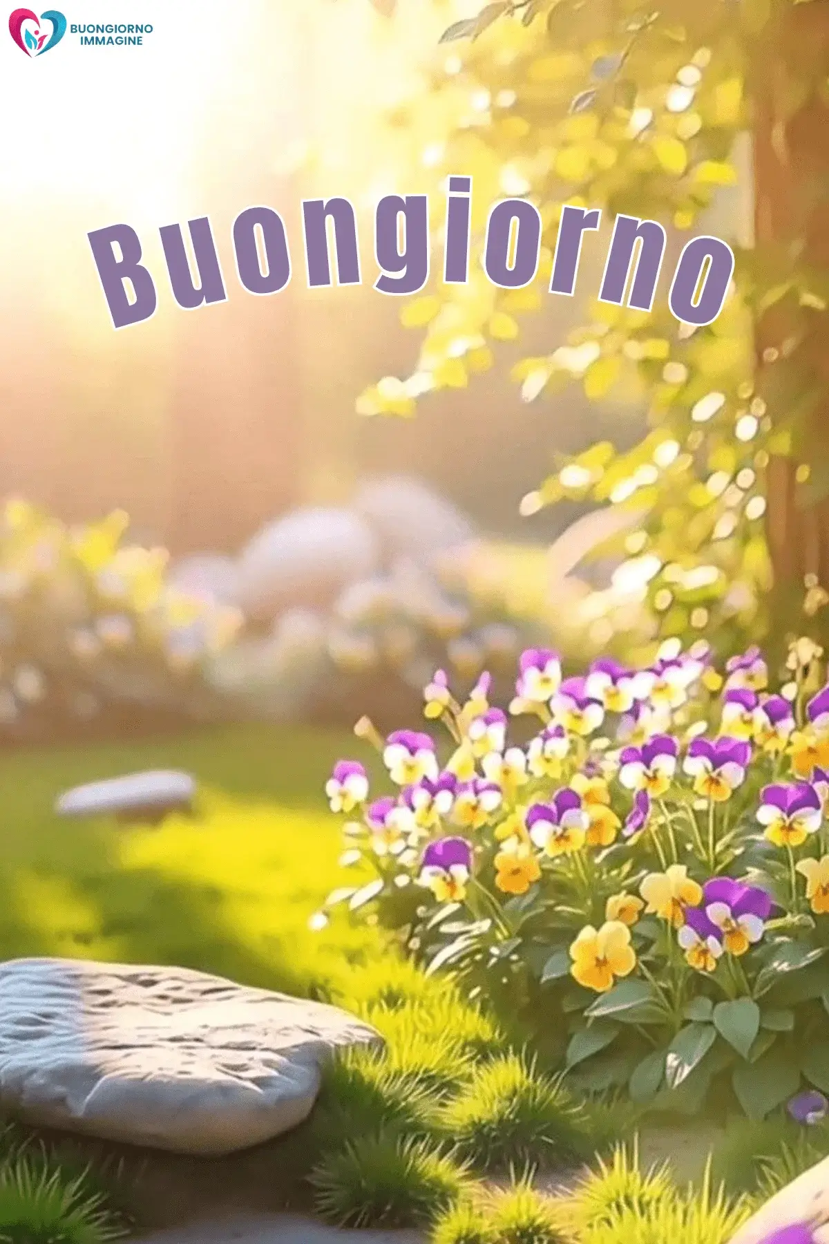 immagini buongiorno con fiori e luce del sole e felicità
