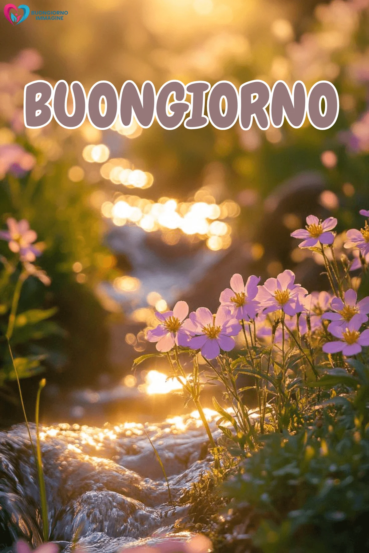 immagini buongiorno con fiori e luce naturale e messaggi belli.