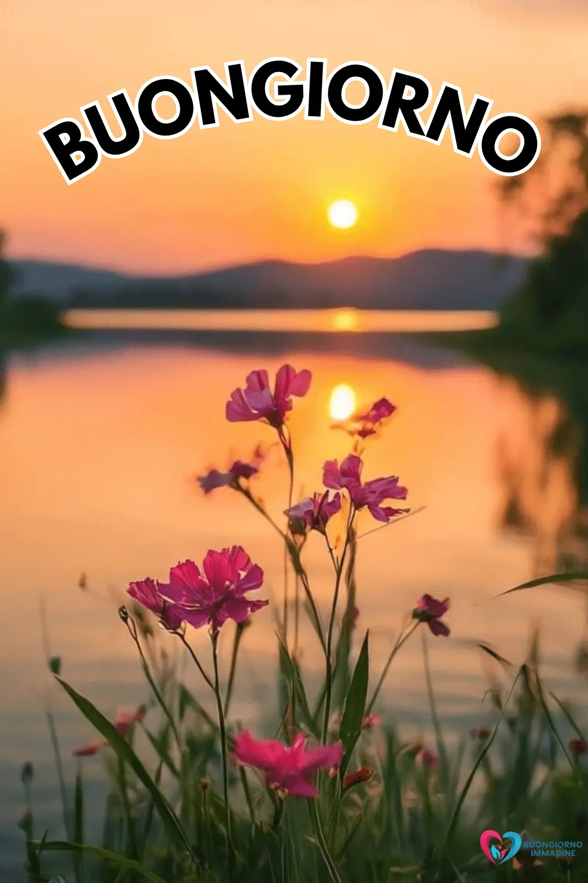 immagini buongiorno con fiori e messaggi motivazionali