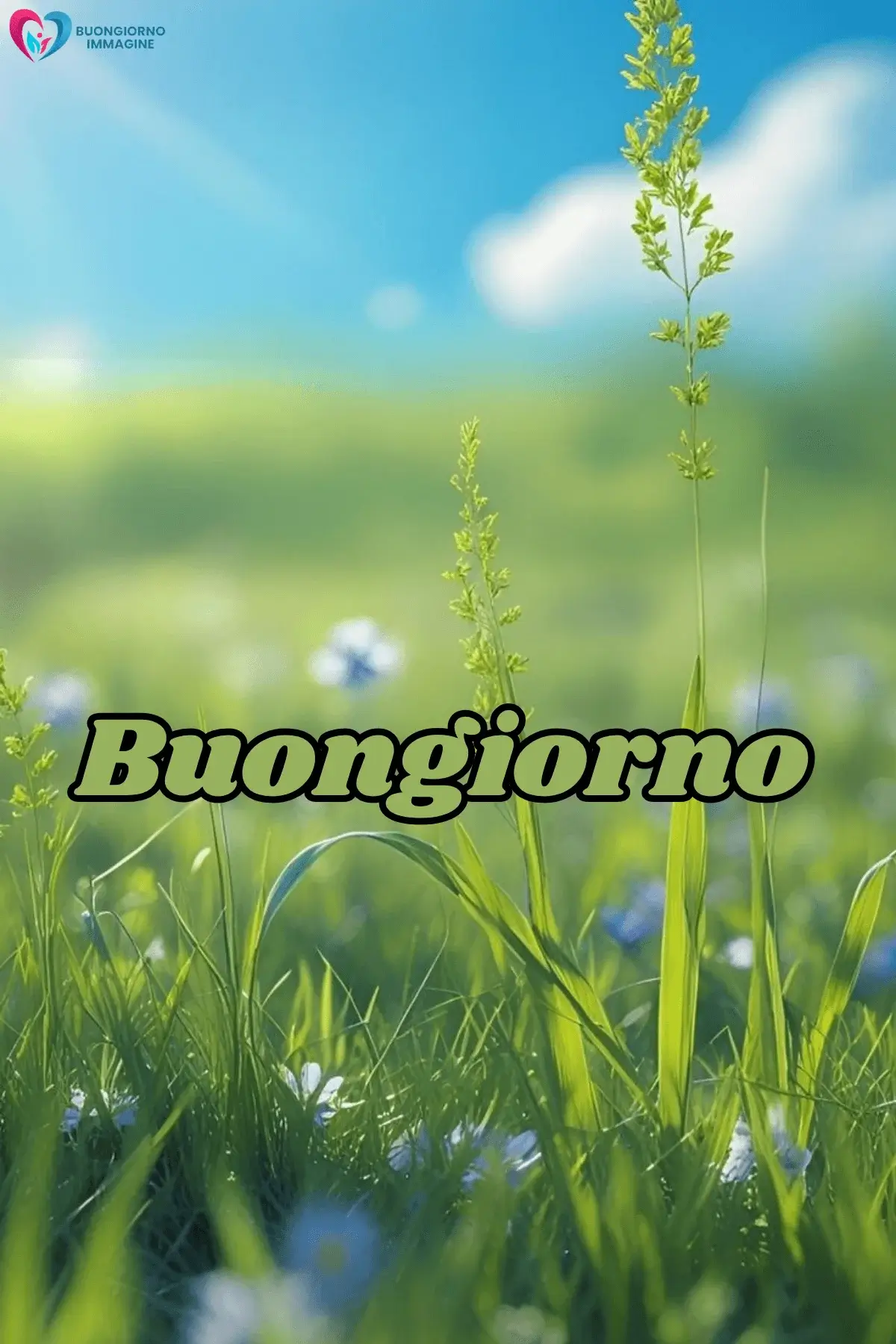 immagini buongiorno con fiori e natura e frasi rilassanti