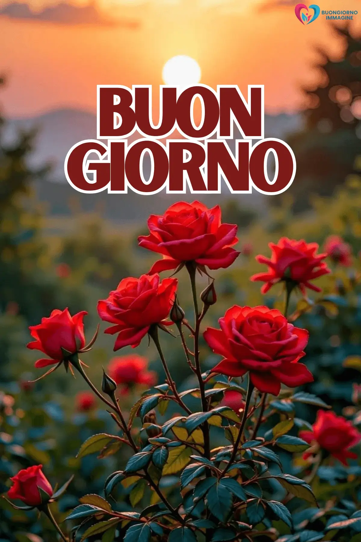 immagini buongiorno con fiori e natura e serenità
