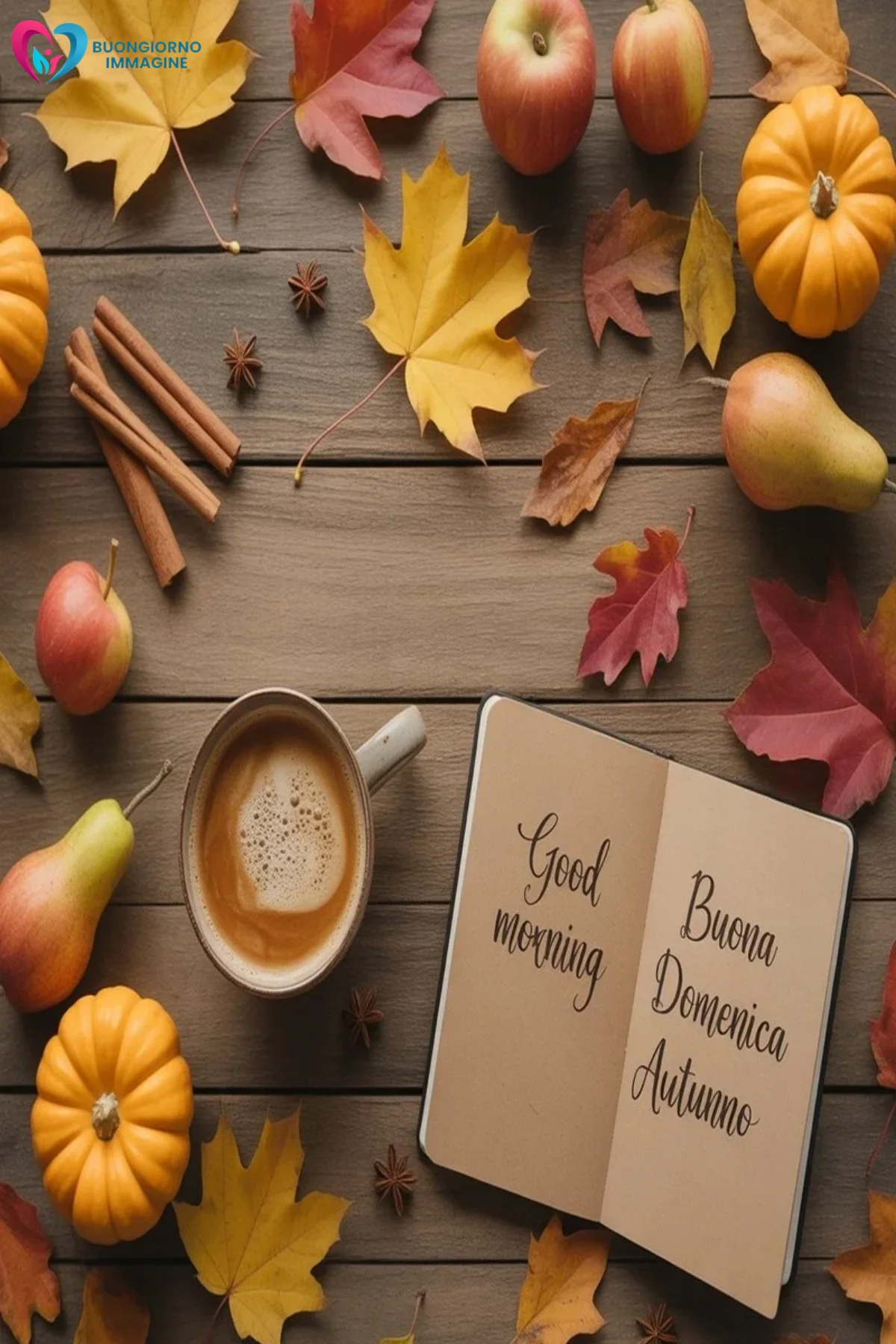 Buongiorno immagini — immagini buongiorno nuovissimi gratis Composizione autunnale con zucche foglie e