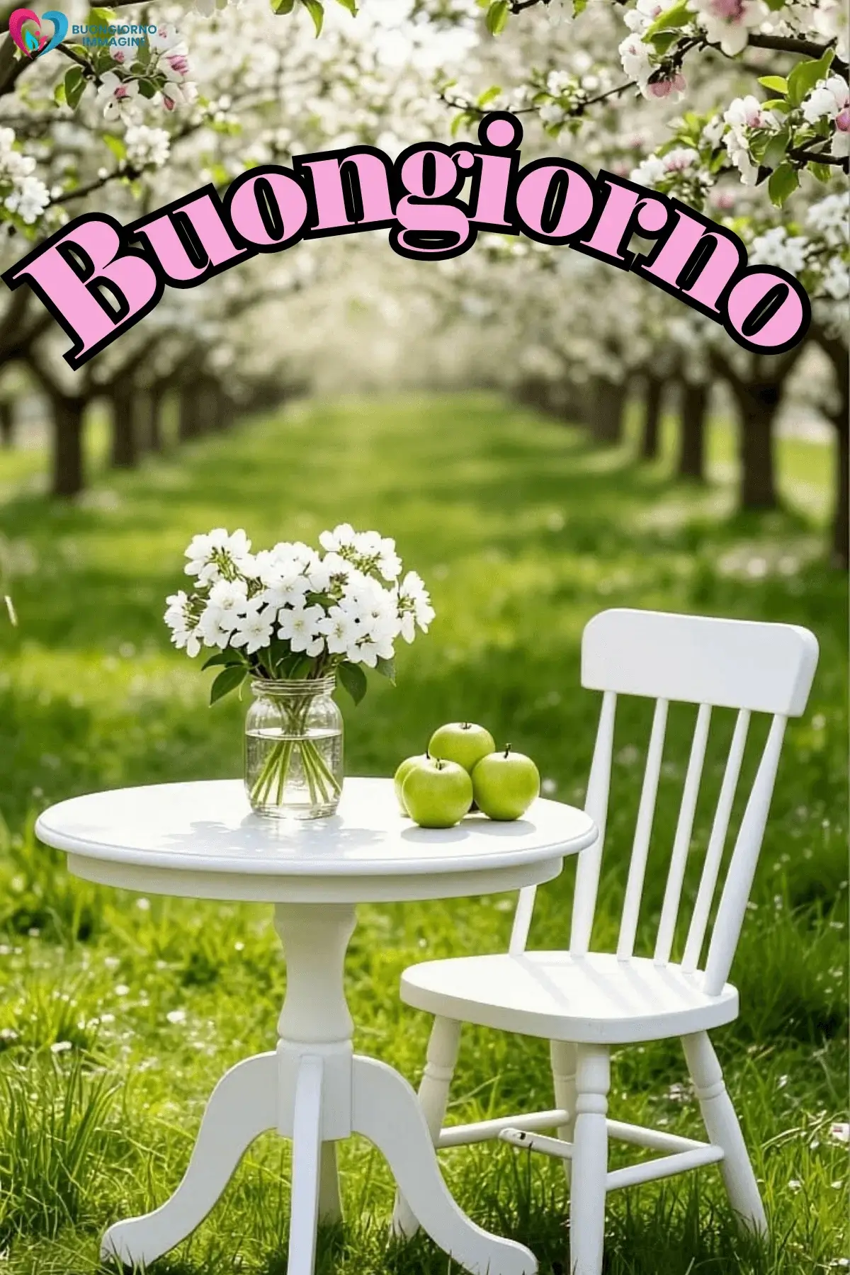 immagini buongiorno con fiori primaverili e atmosfera serena