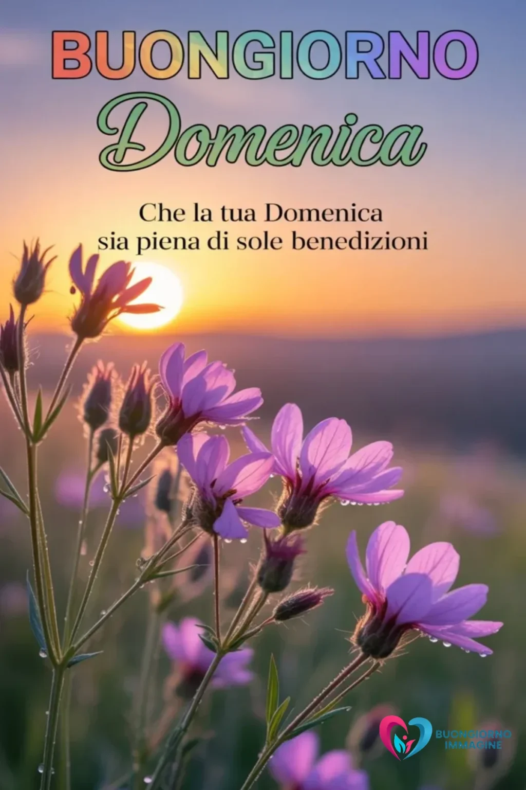 immagini buongiorno con sfondi chiari