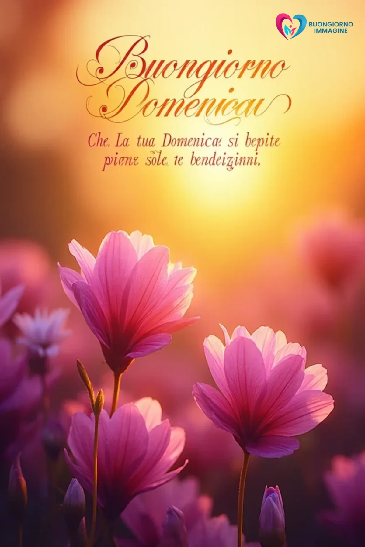 immagini buongiorno nuovissimi gratis con sorriso mattutino