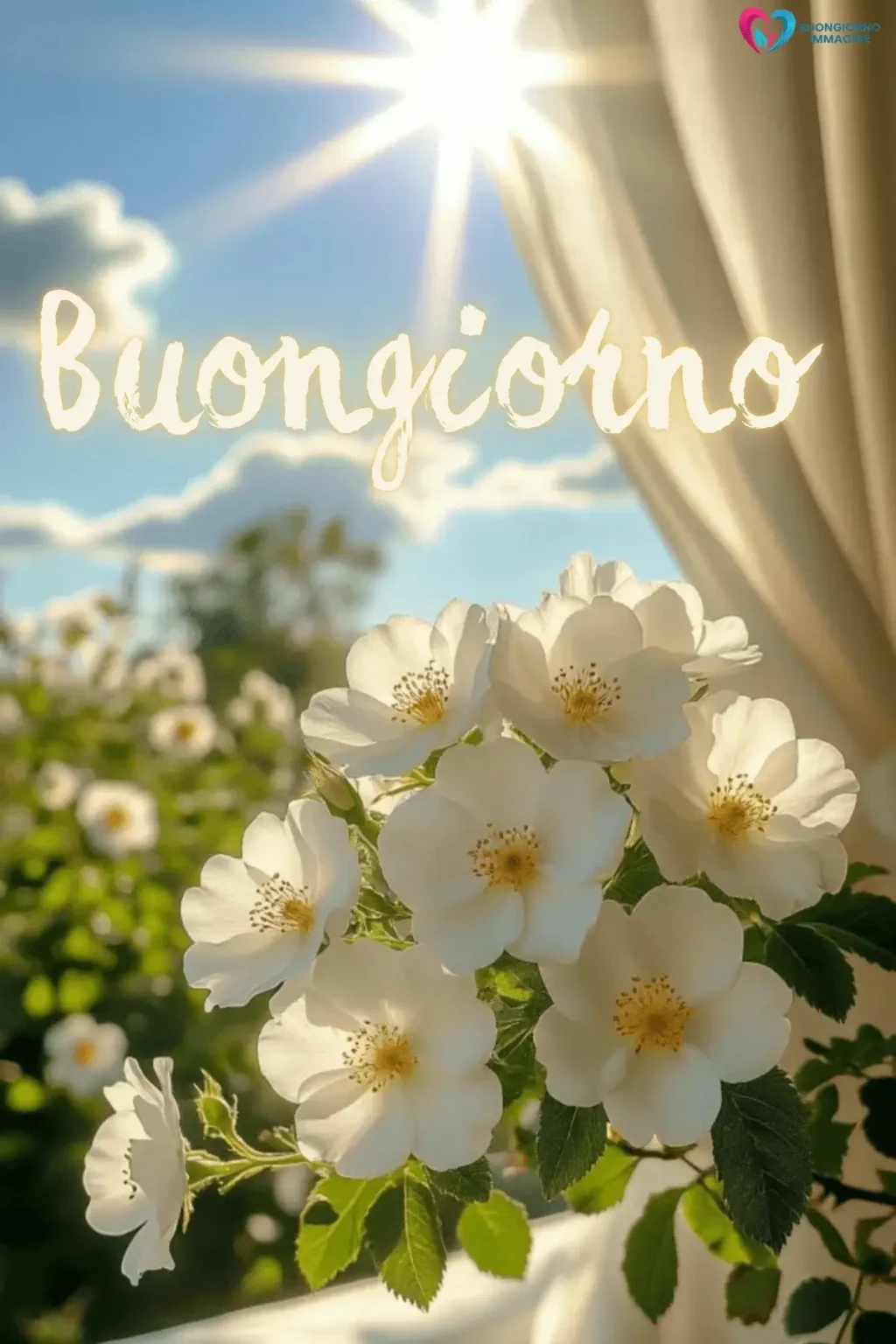 immagini buongiorno gratis nuovissime con paesaggio luminoso del mattino