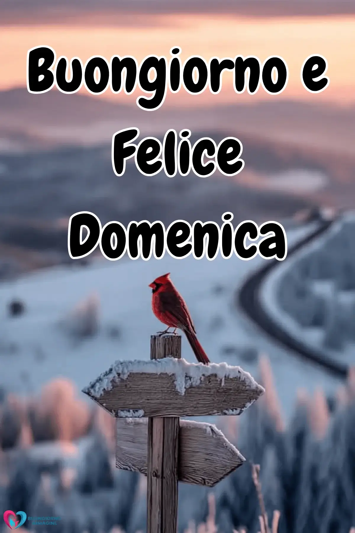 immagini buongiorno domenica per gruppi whatsapp