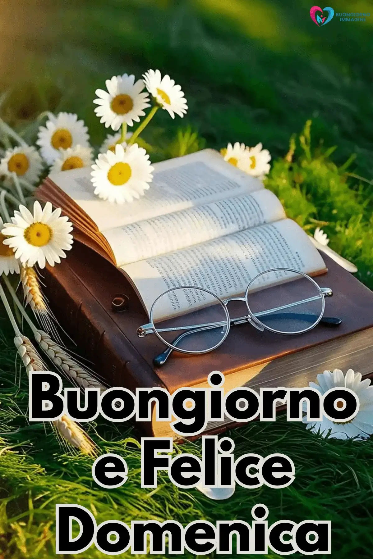 immagini buongiorno domenica semplici e belle