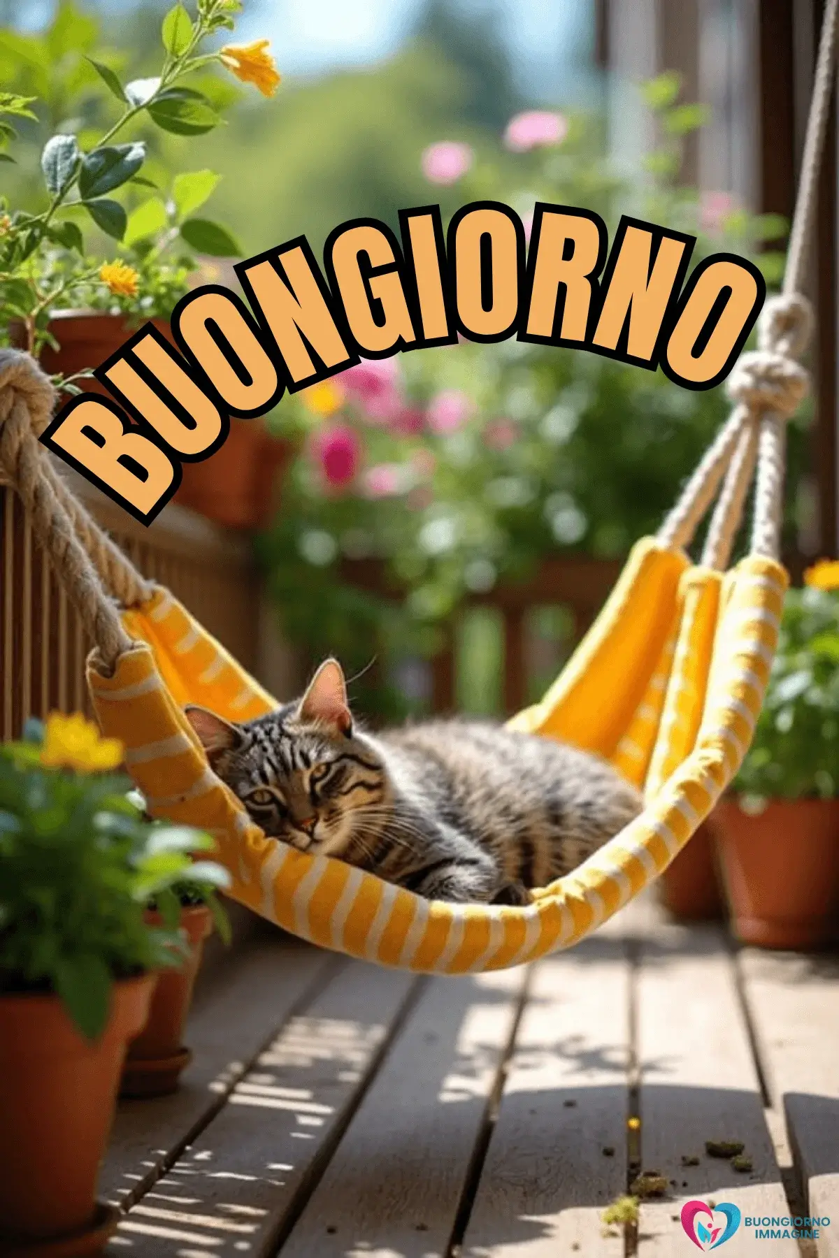 immagini buongiorno gatti tenerissimi