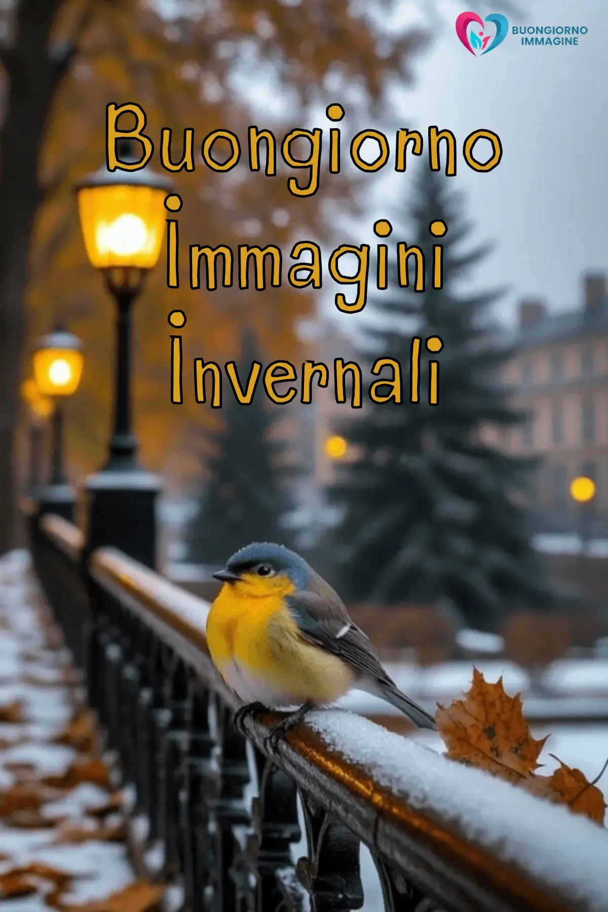 immagini buongiorno invernali con neve e luce mattina