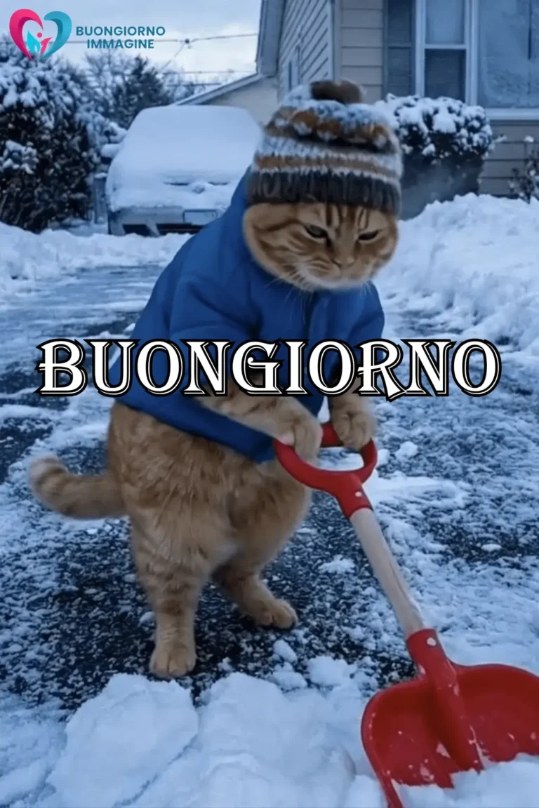 immagini buongiorno inverno con elementi accoglienti