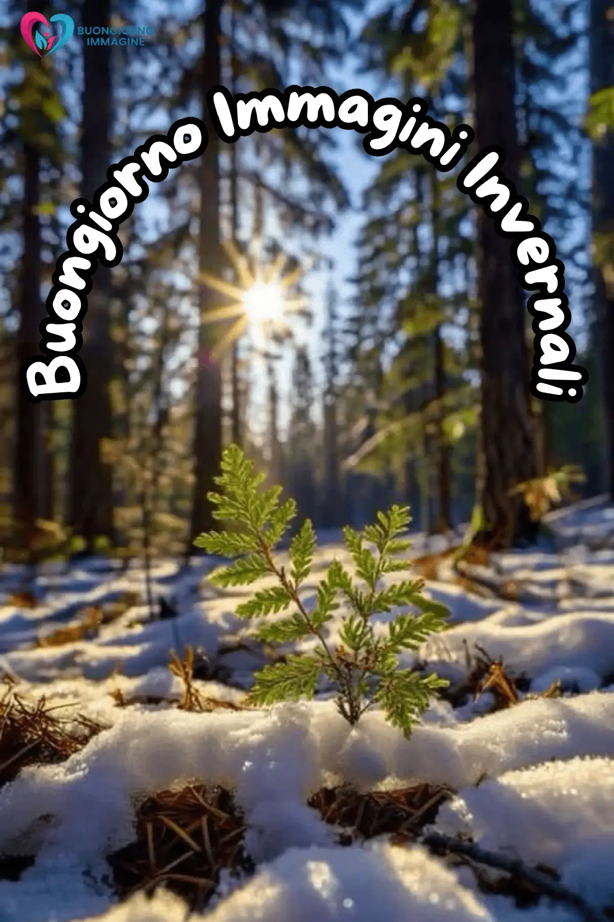 immagini buongiorno inverno gratis da condividere whatsapp