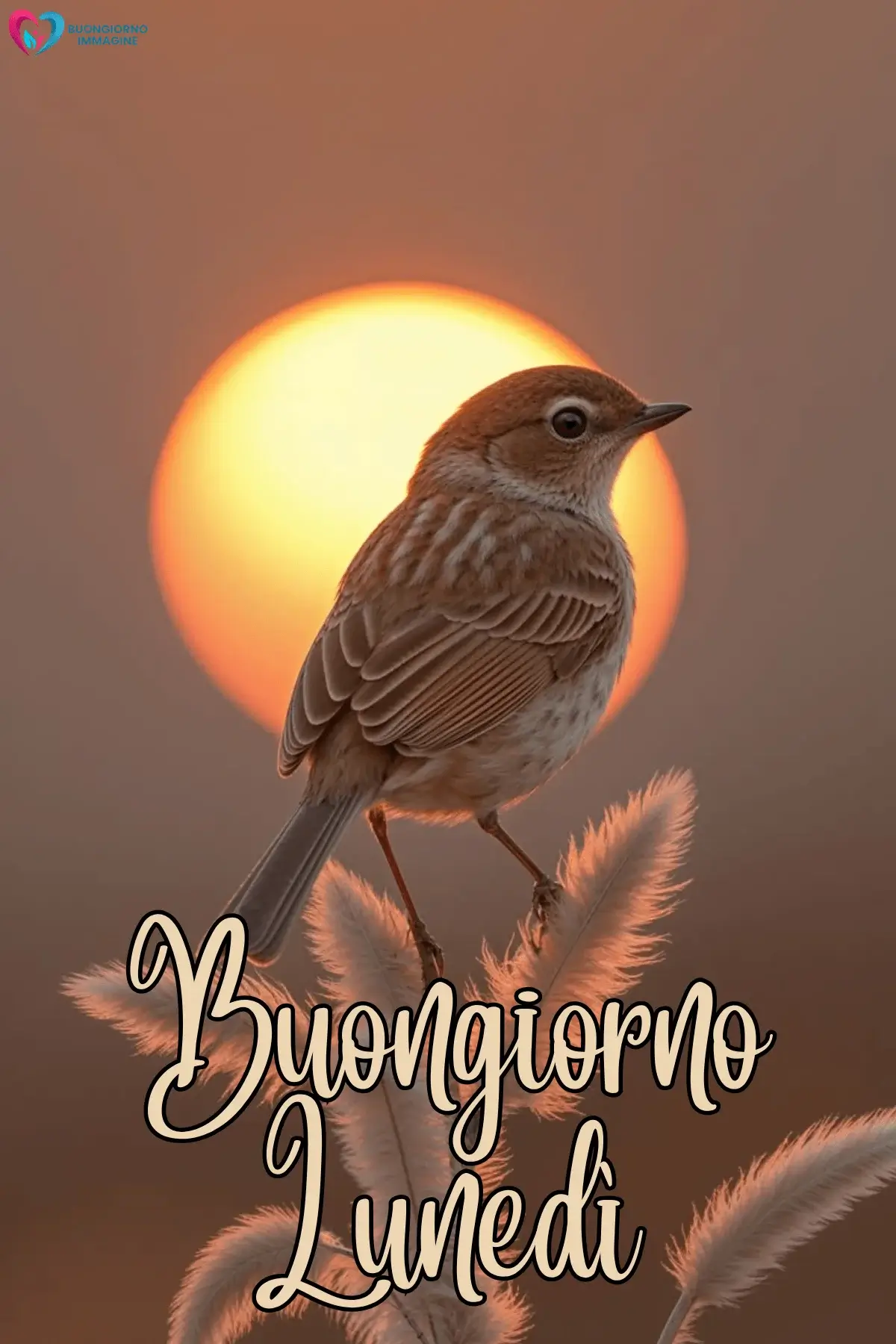 immagini buongiorno lunedì felice energia positiva