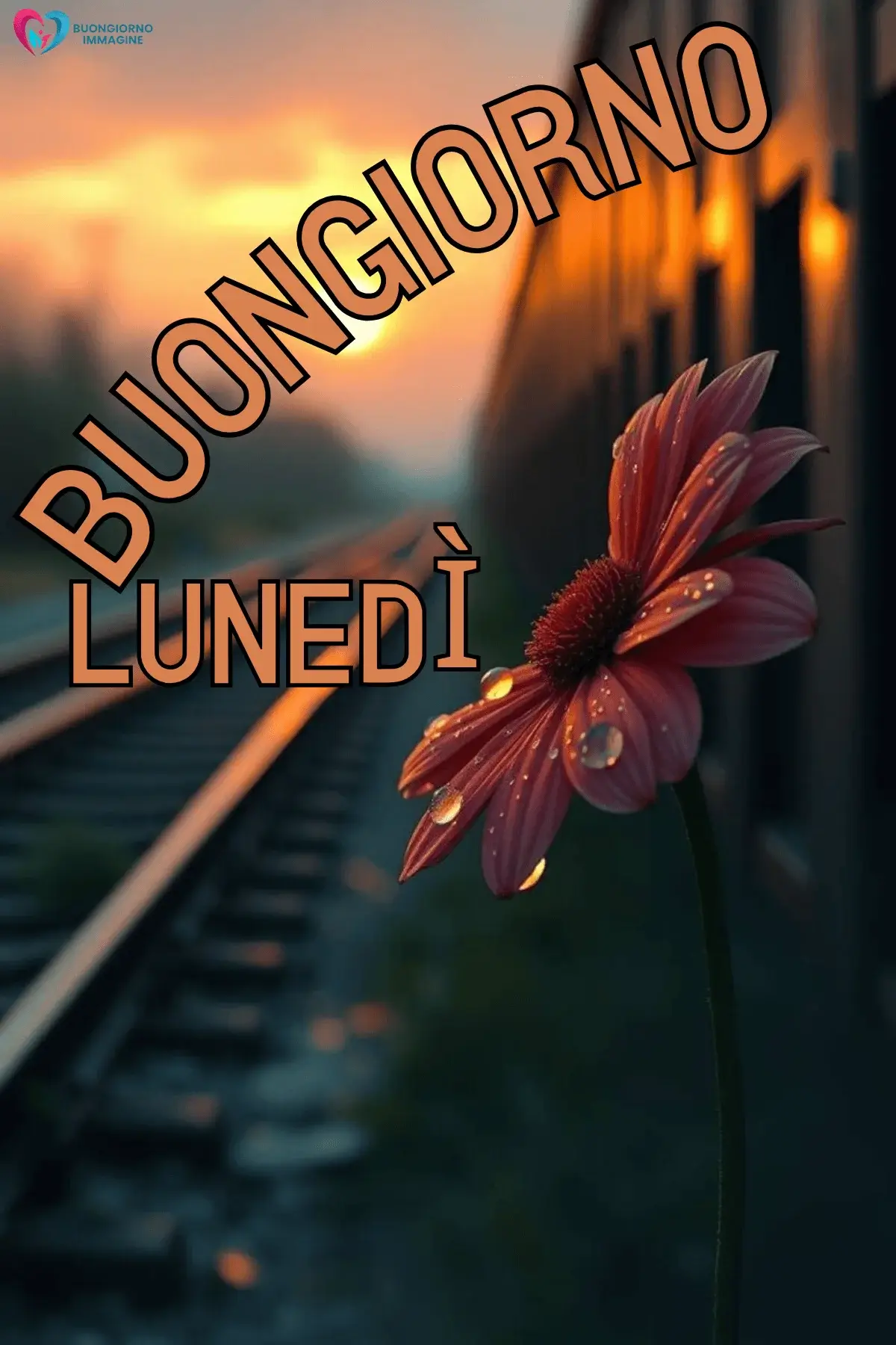 immagini buongiorno lunedì felice nuove per social