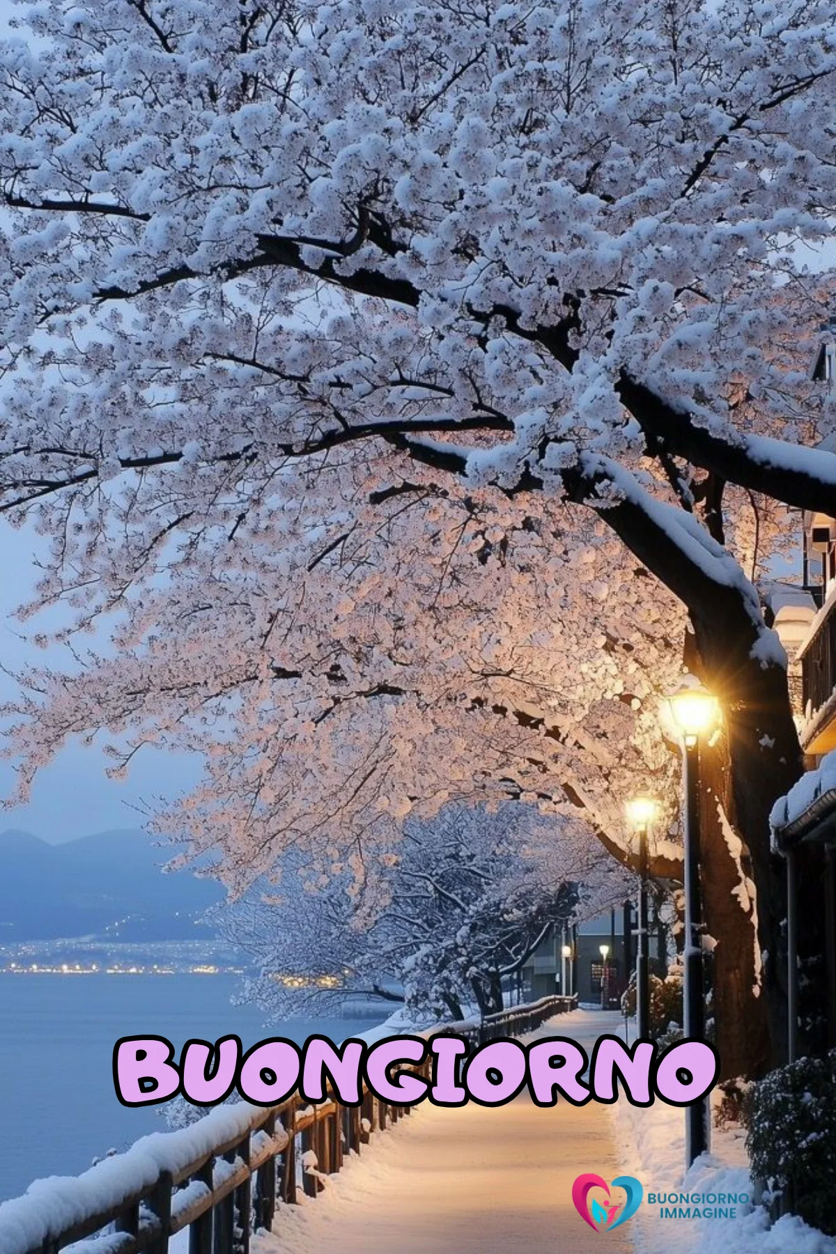 immagini buongiorno nuovissimi gratis Sentiero innevato con alberi e scritta buo