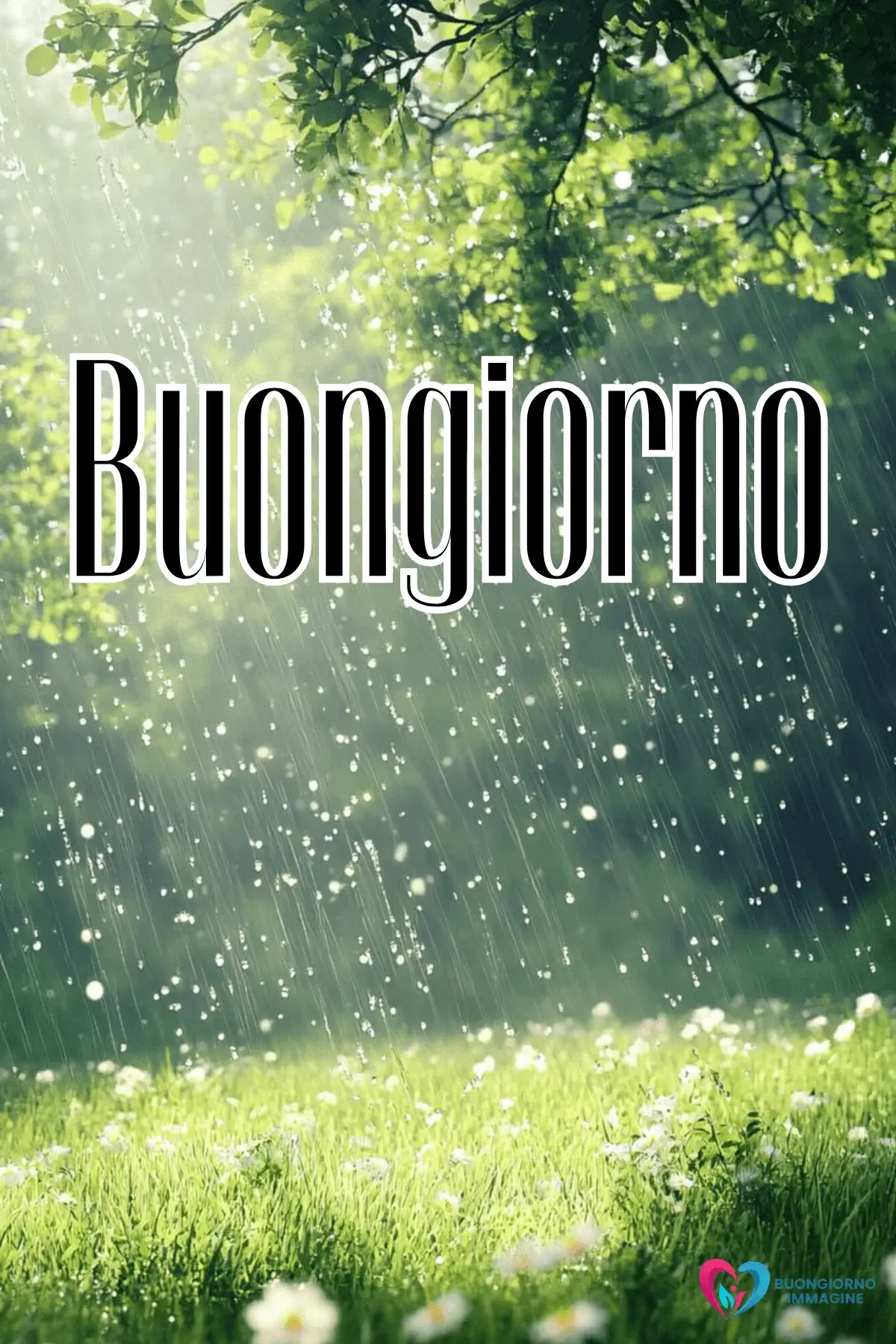 immagini buongiorno pioggia