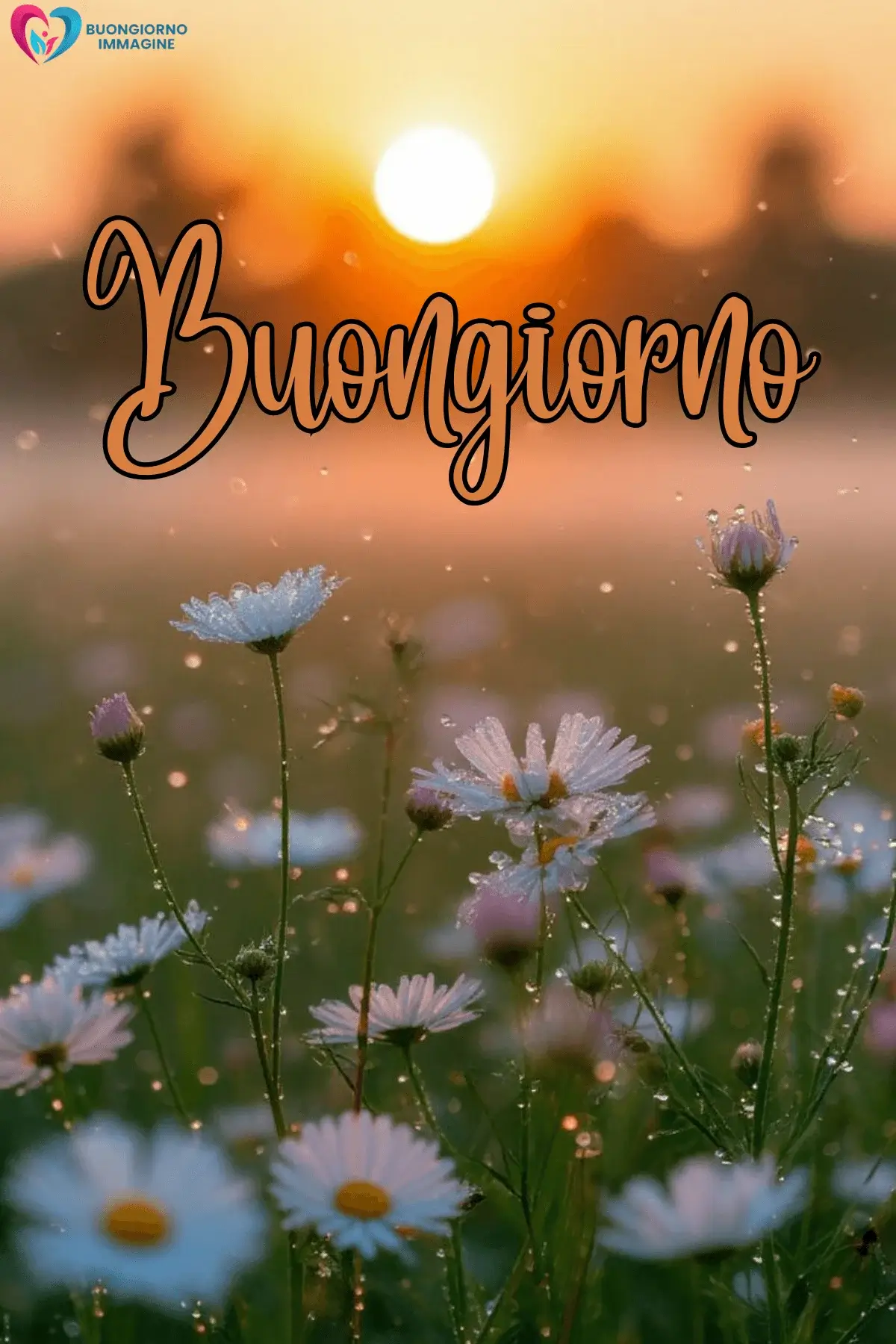 immagini buongiorno pioggia con emozioni