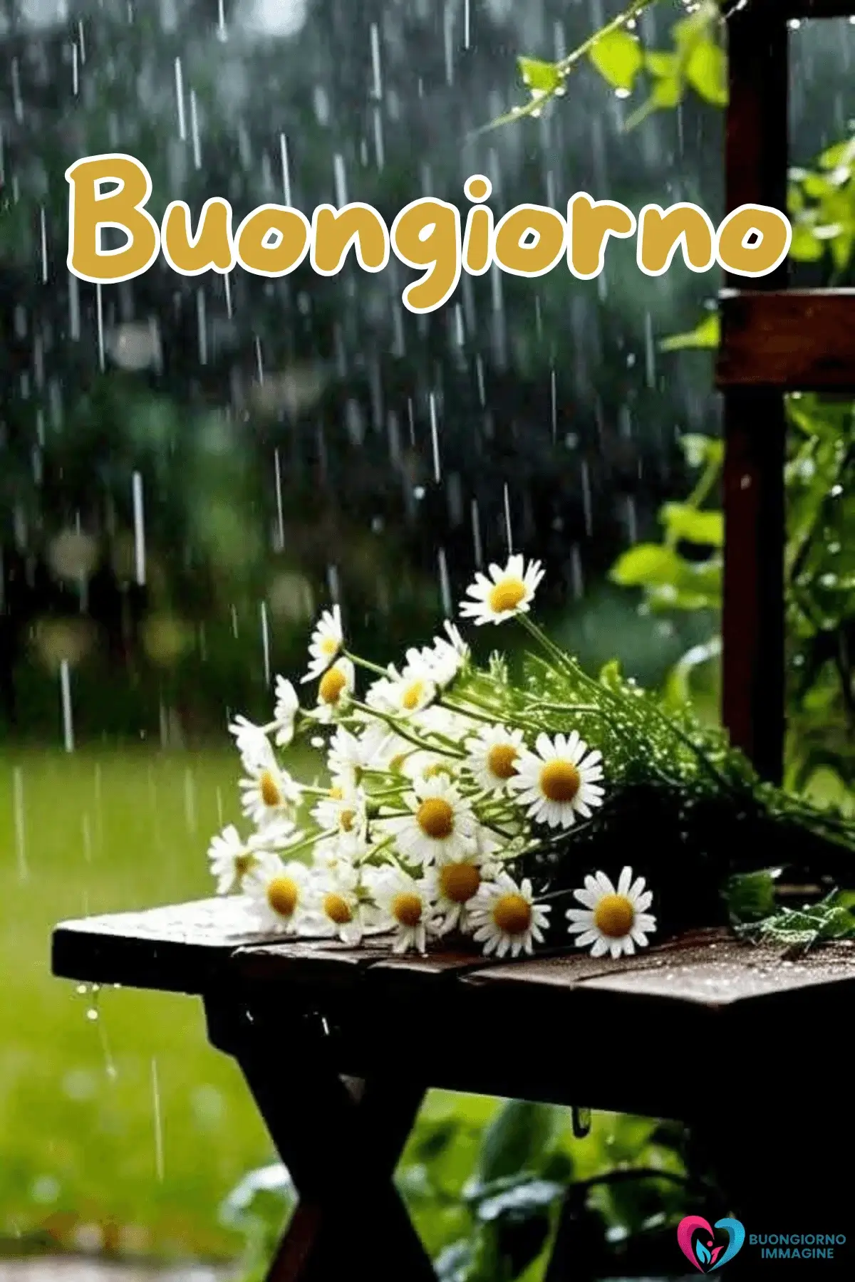 immagini buongiorno pioggia con fiori