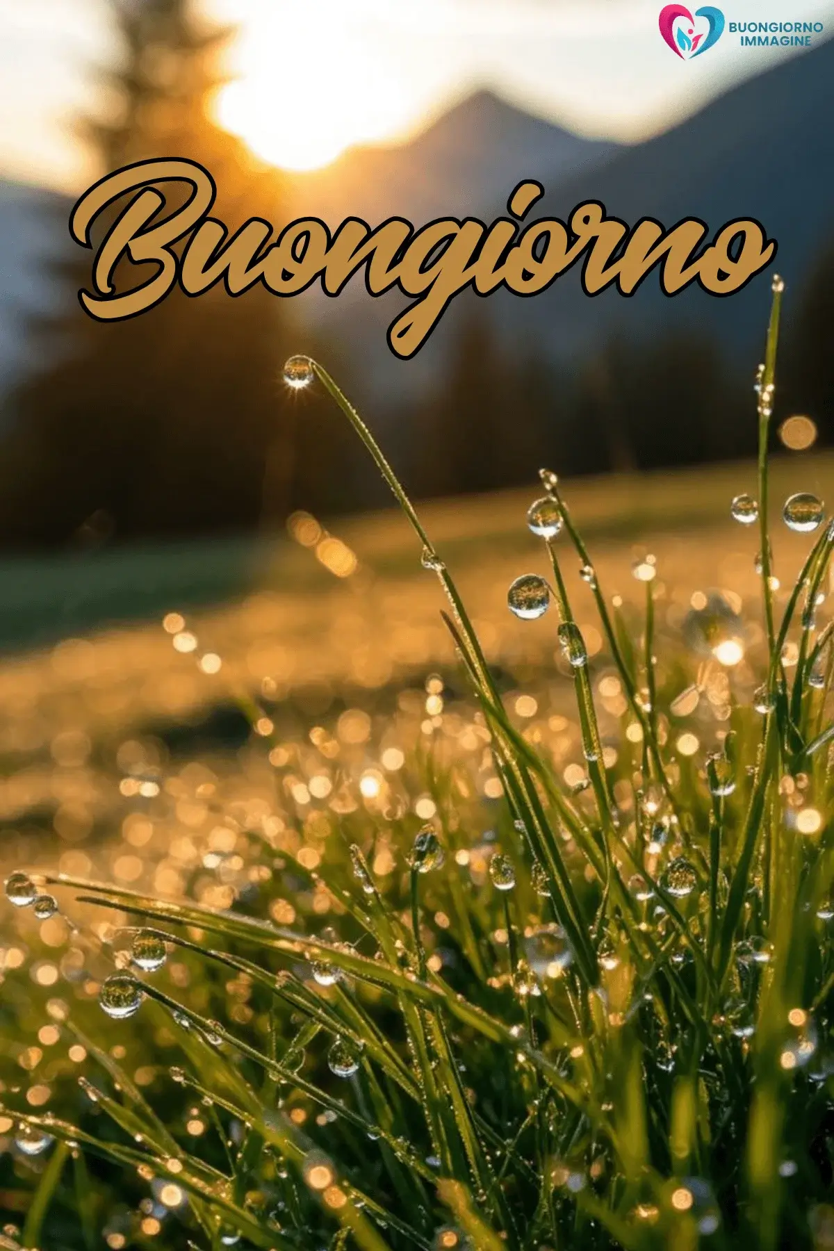 immagini buongiorno pioggia con messaggi dolci