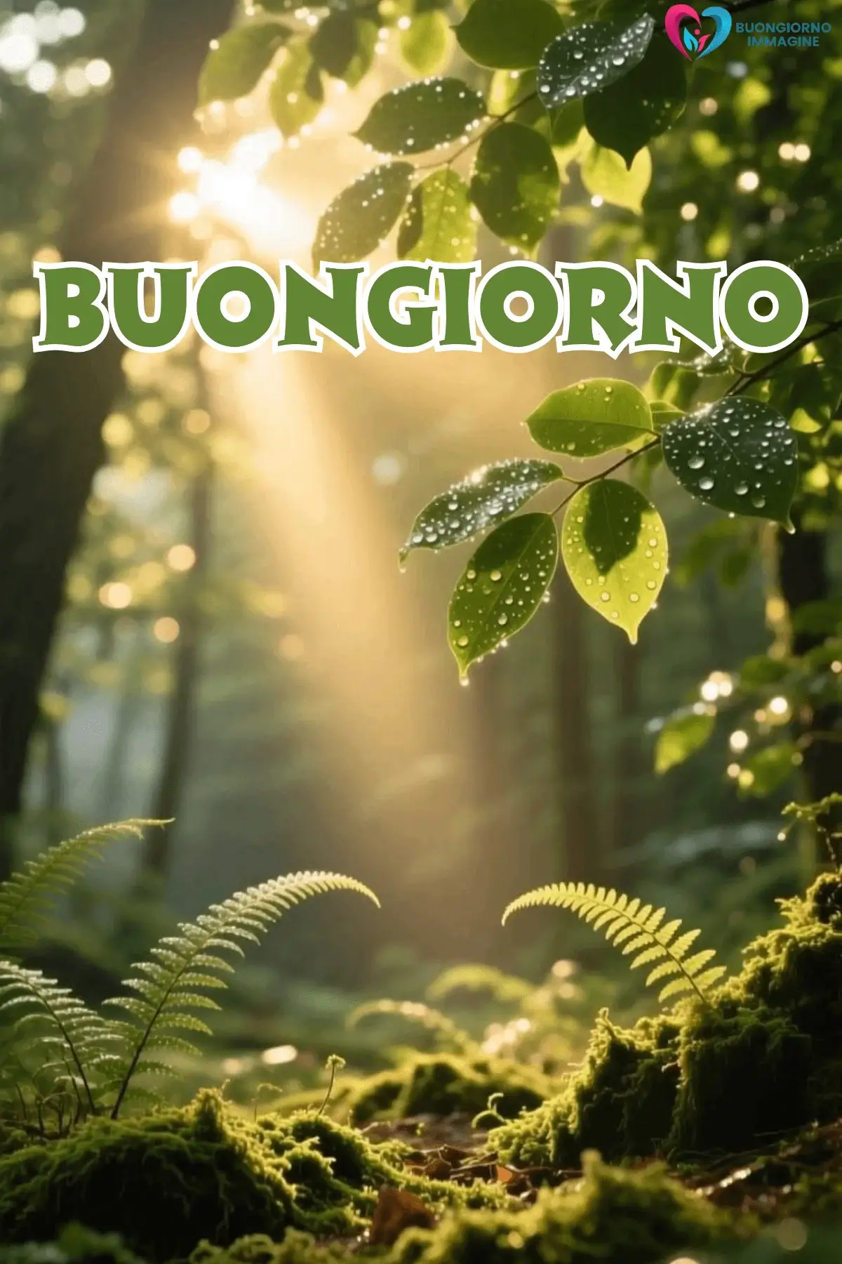 immagini buongiorno pioggia con natura verde