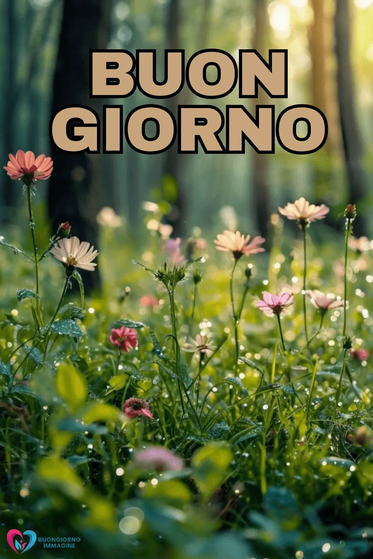 immagini buongiorno pioggia con vibe rilassante