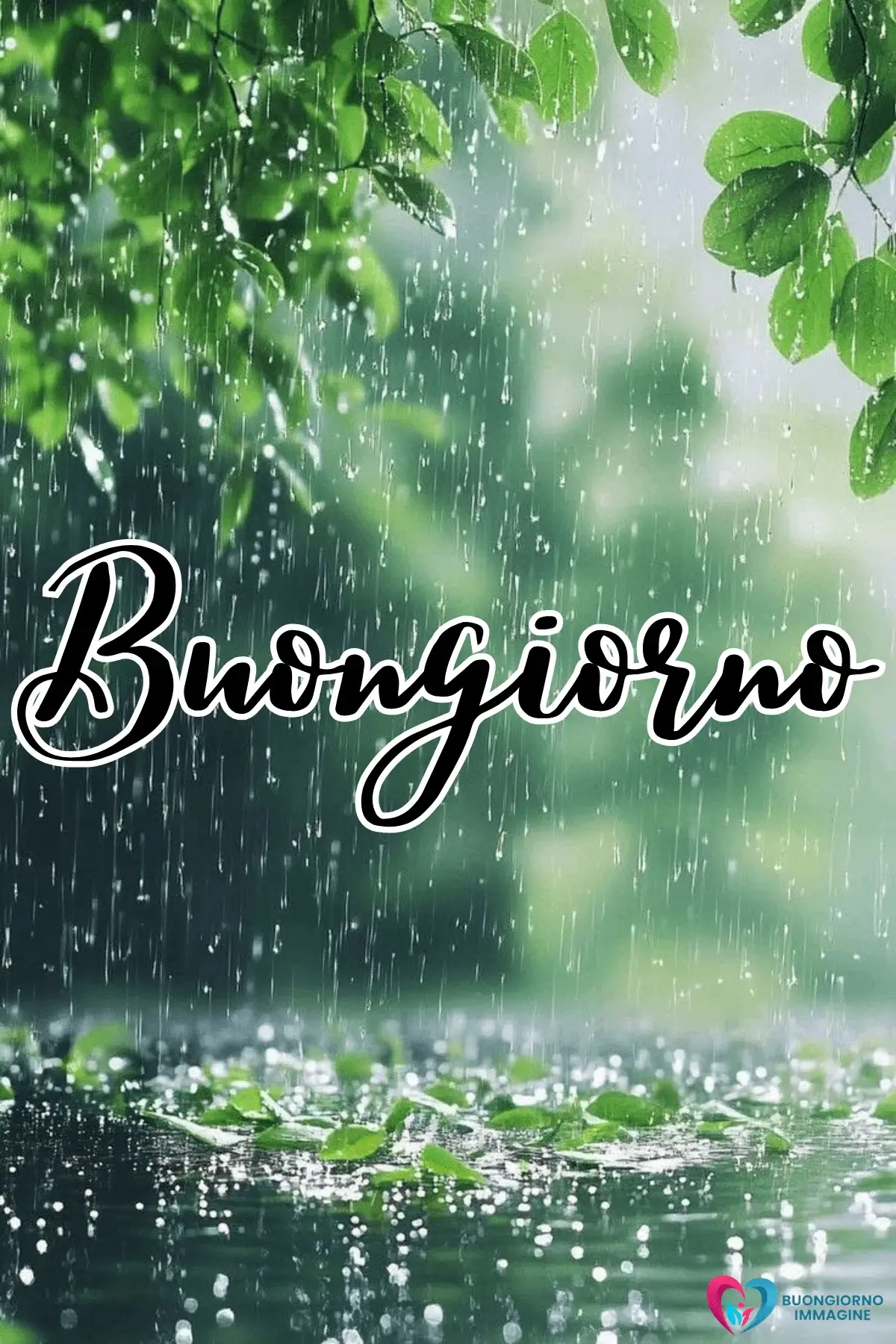 immagini buongiorno pioggia whatsapp gratis