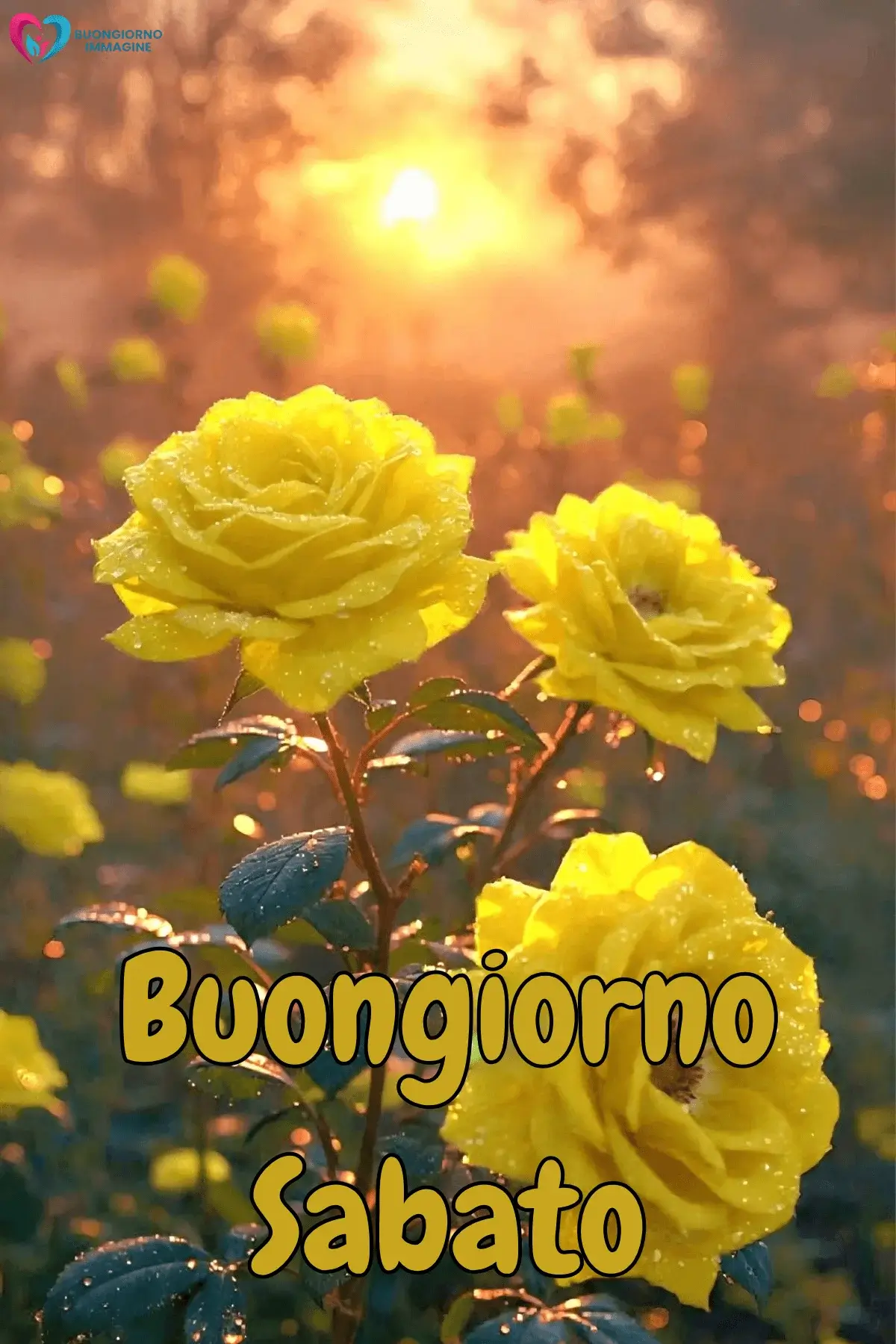 immagini buongiorno sabato nuove per social
