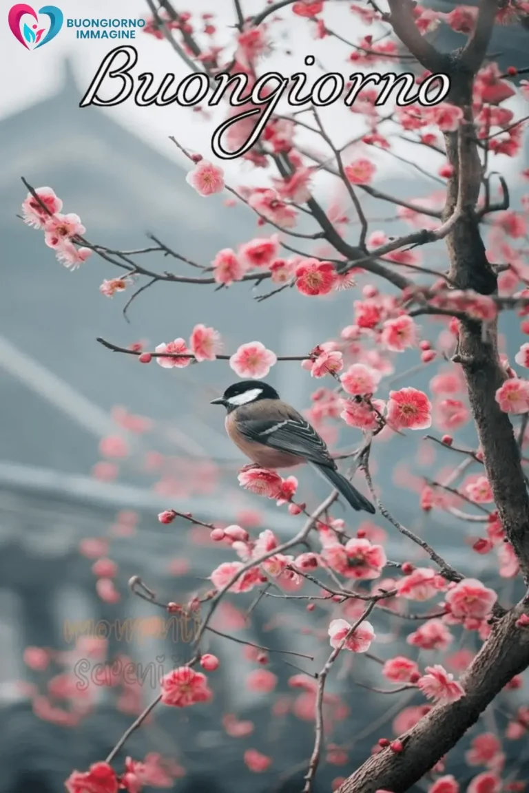 immagini buongiorno uniche da condividere