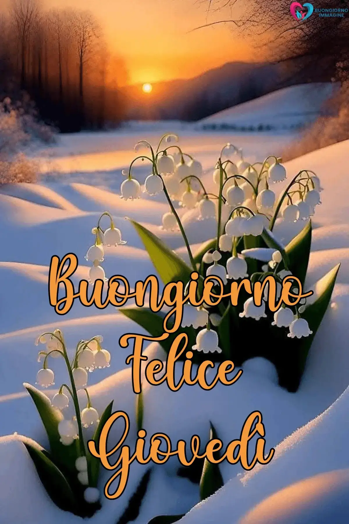immagini buongiorno venerdì con amore e affetto