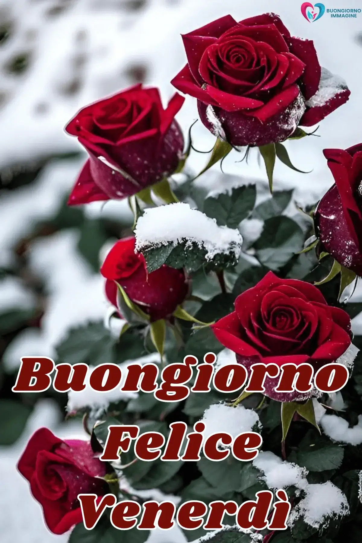 immagini buongiorno venerdì con frasi positive