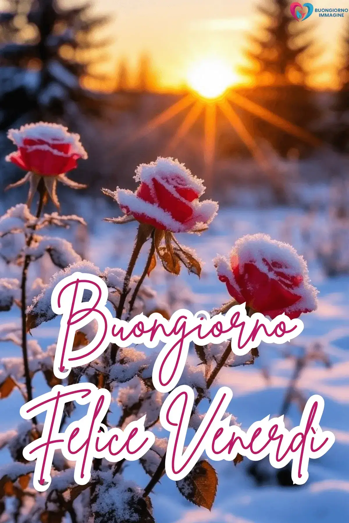 immagini buongiorno venerdì con messaggi dolci