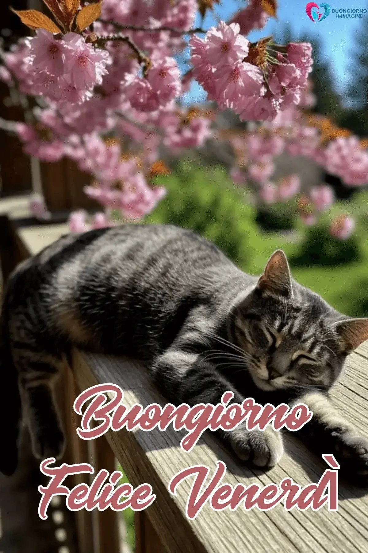 immagini buongiorno venerdì con vibes weekend