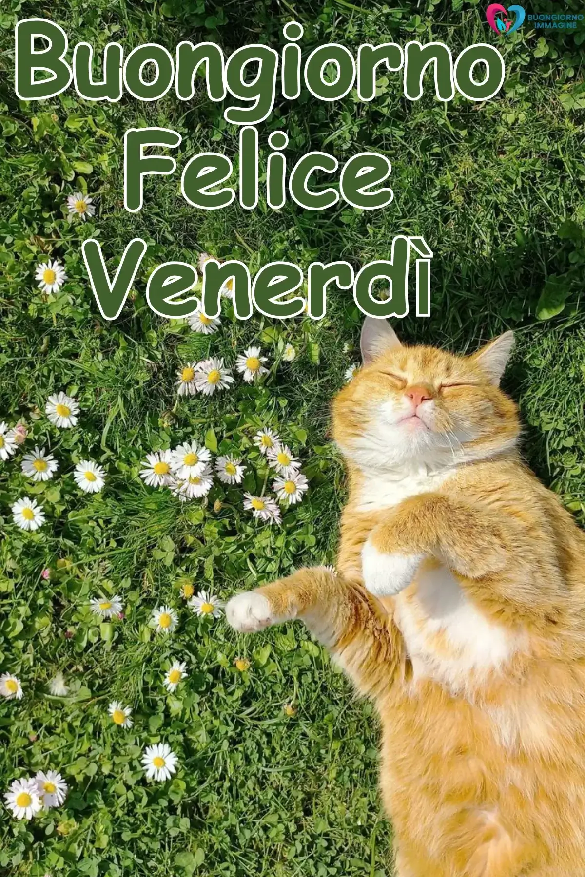 immagini buongiorno venerdì mattina presto