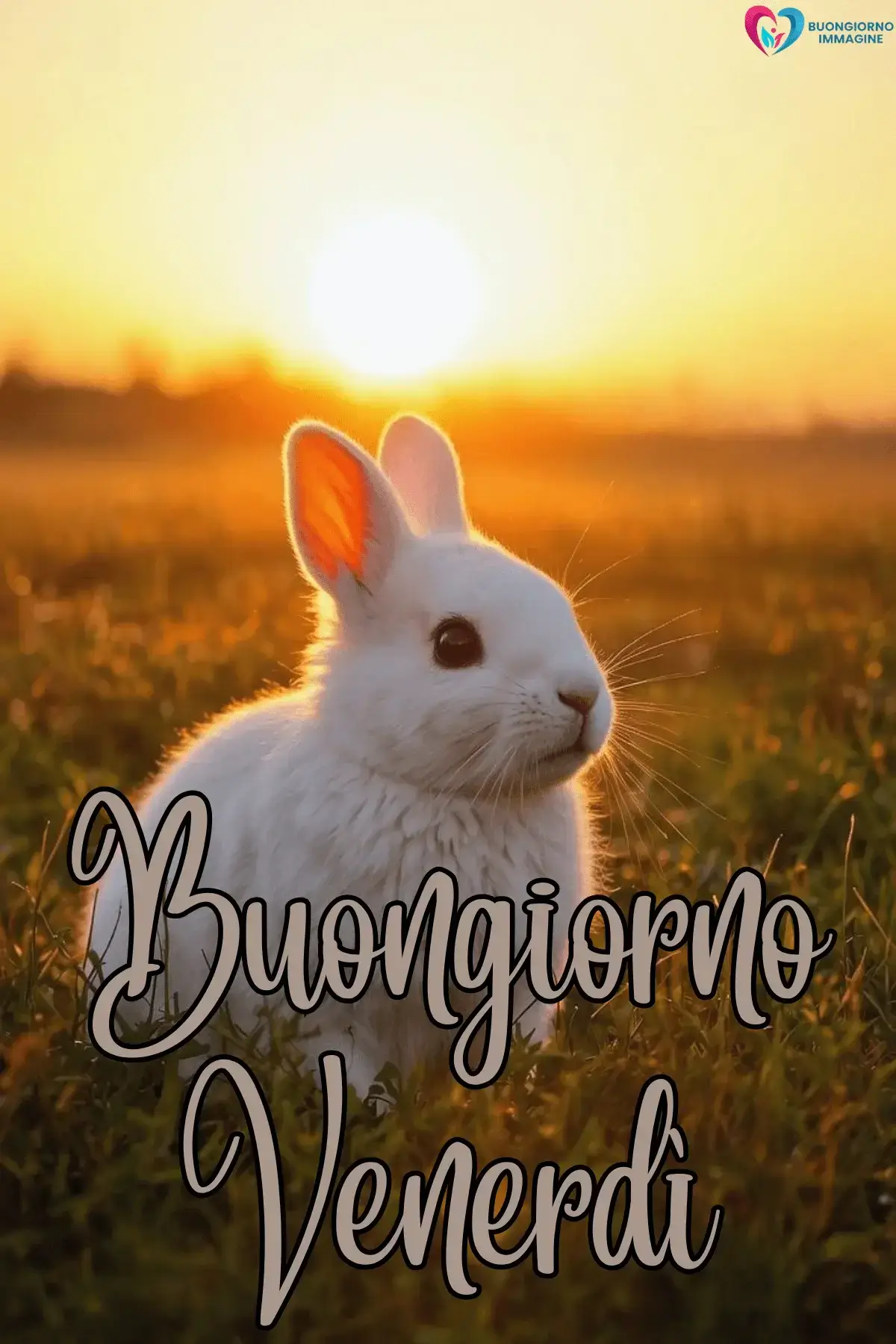 immagini buongiorno venerdì nuove 2026 gratis